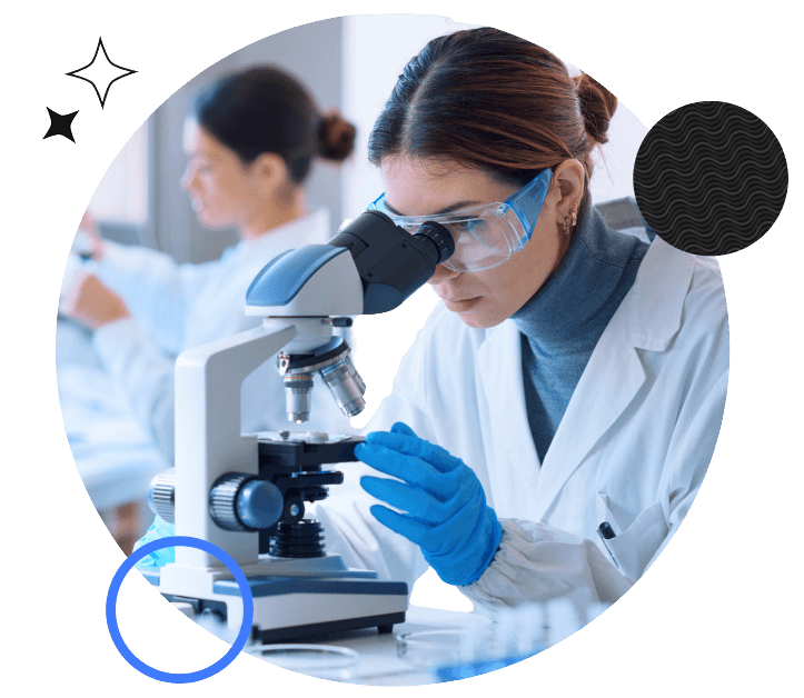 lab